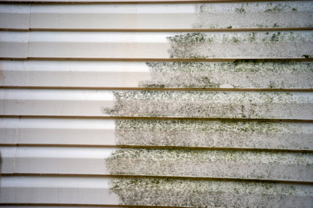 Best Dumpster Rental Services  in Greenfield, IN
